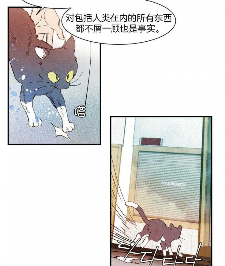 《云雨之情》漫画最新章节第81话免费下拉式在线观看章节第【21】张图片