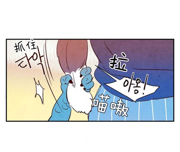 《云雨之情》漫画最新章节第50话免费下拉式在线观看章节第【20】张图片