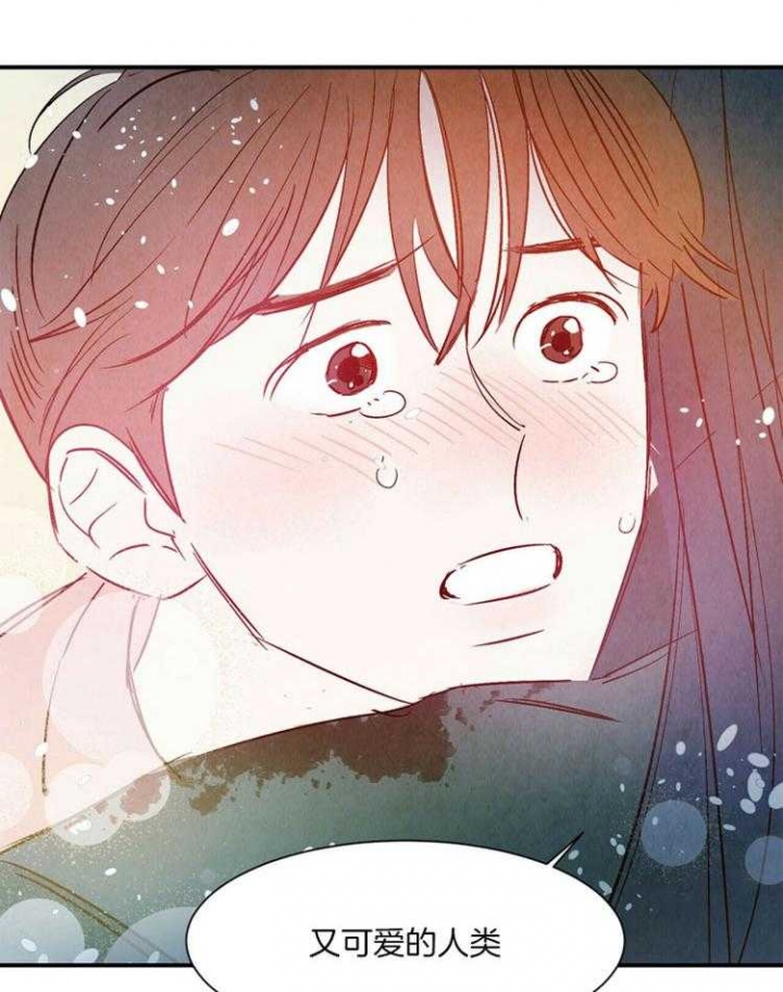 《云雨之情》漫画最新章节第85话免费下拉式在线观看章节第【25】张图片