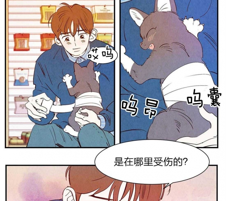 《云雨之情》漫画最新章节第51话免费下拉式在线观看章节第【11】张图片