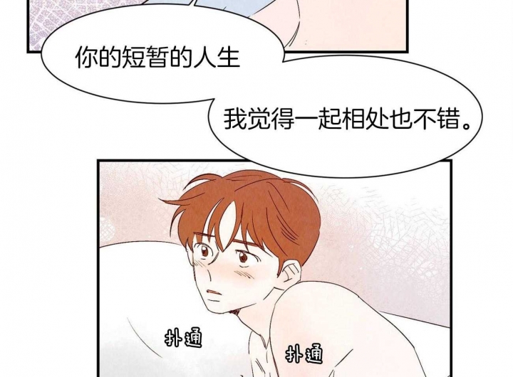 《云雨之情》漫画最新章节第66话免费下拉式在线观看章节第【33】张图片