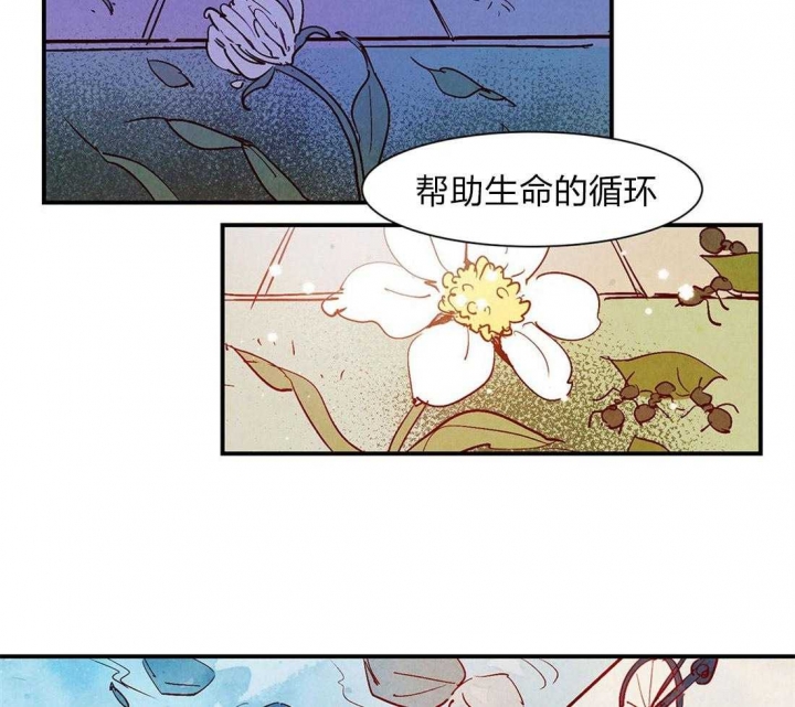 《云雨之情》漫画最新章节第51话免费下拉式在线观看章节第【24】张图片