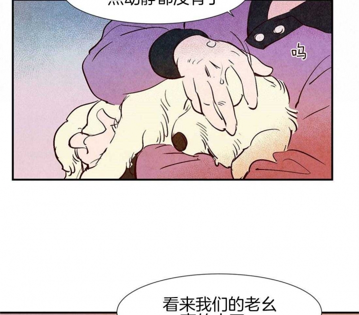 《云雨之情》漫画最新章节第42话免费下拉式在线观看章节第【15】张图片