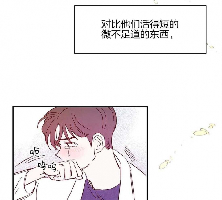 《云雨之情》漫画最新章节第44话免费下拉式在线观看章节第【12】张图片