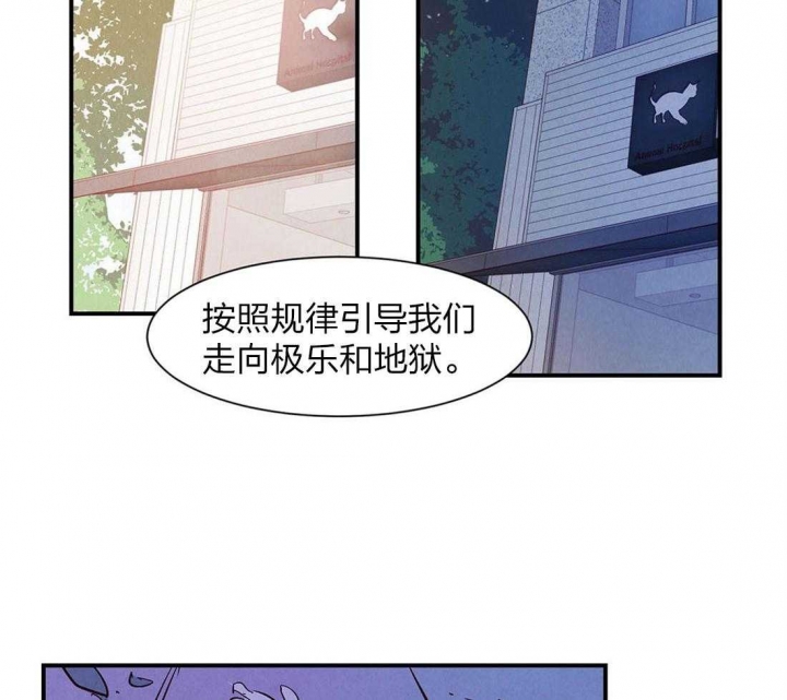 《云雨之情》漫画最新章节第51话免费下拉式在线观看章节第【23】张图片