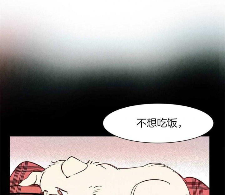 《云雨之情》漫画最新章节第40话免费下拉式在线观看章节第【6】张图片