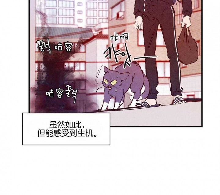 《云雨之情》漫画最新章节第48话免费下拉式在线观看章节第【3】张图片