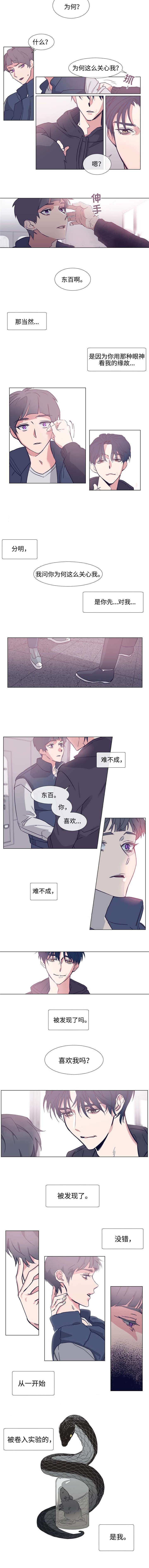 《水仙花》漫画最新章节第66话免费下拉式在线观看章节第【3】张图片