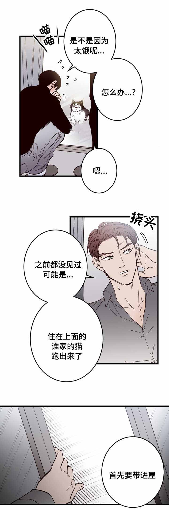 《交叉线》漫画最新章节第15话免费下拉式在线观看章节第【4】张图片