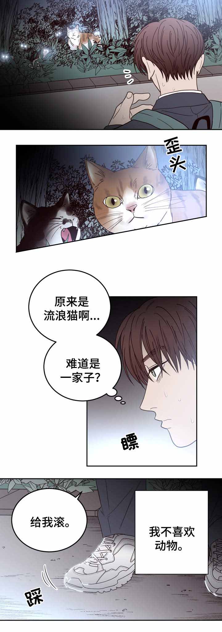 《交叉线》漫画最新章节第43话免费下拉式在线观看章节第【12】张图片