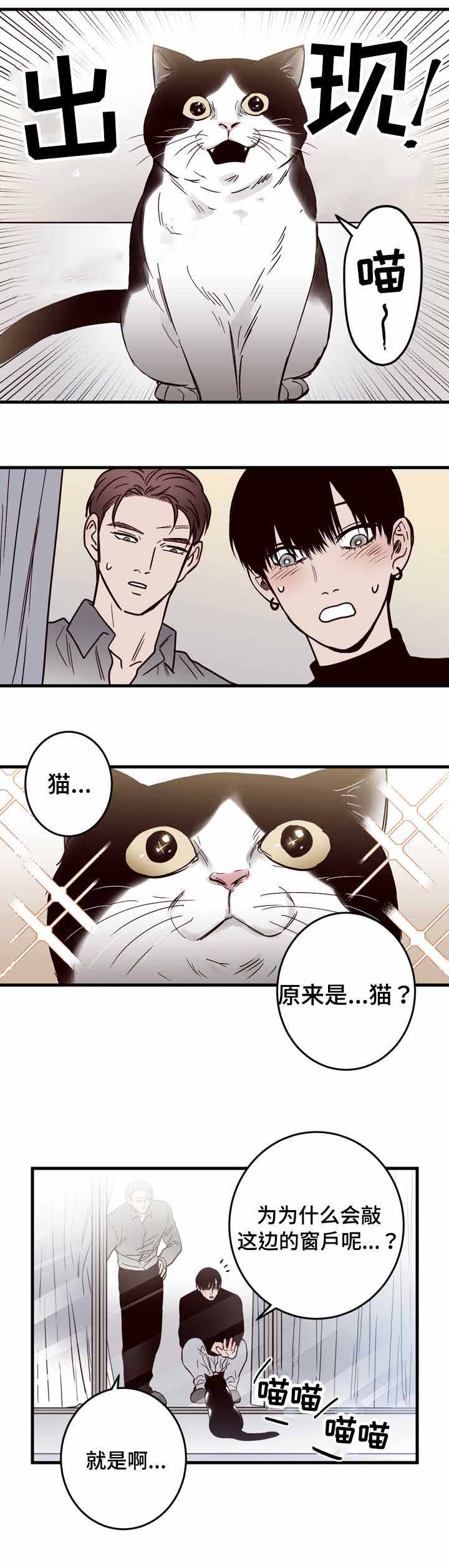 《交叉线》漫画最新章节第15话免费下拉式在线观看章节第【3】张图片