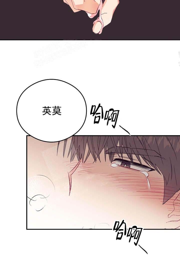 《奇妙玩具来袭》漫画最新章节第15话免费下拉式在线观看章节第【5】张图片