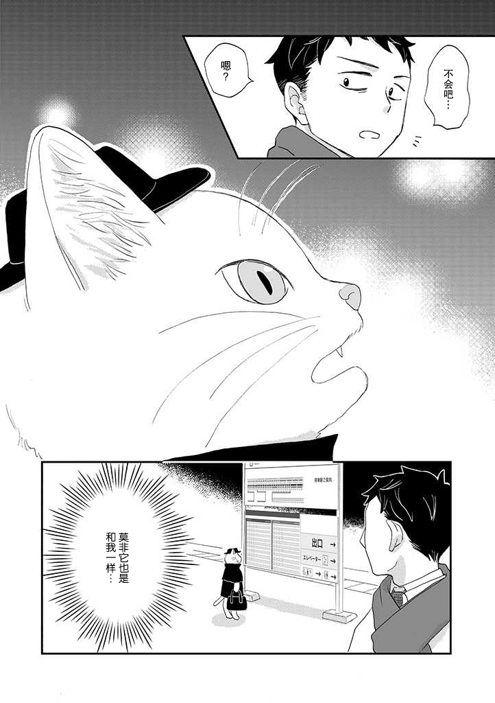 《西北偏北，随猫而去》漫画最新章节第2话免费下拉式在线观看章节第【2】张图片