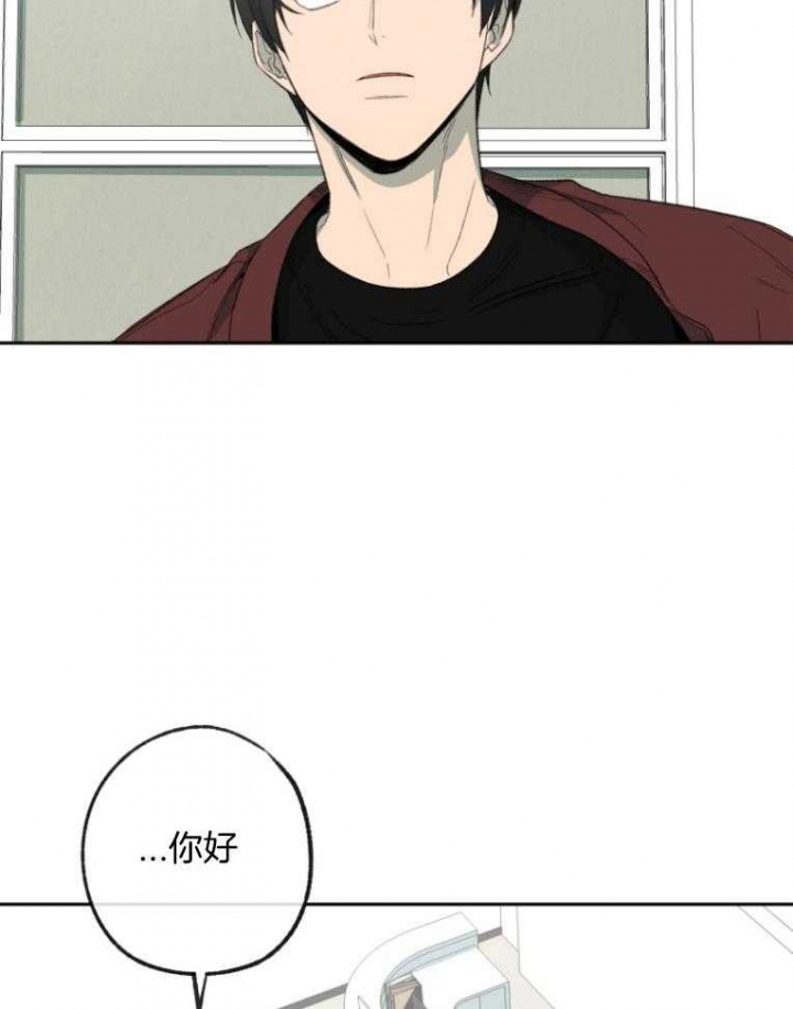 《走失的夜(第I+II季)》漫画最新章节第178话免费下拉式在线观看章节第【15】张图片