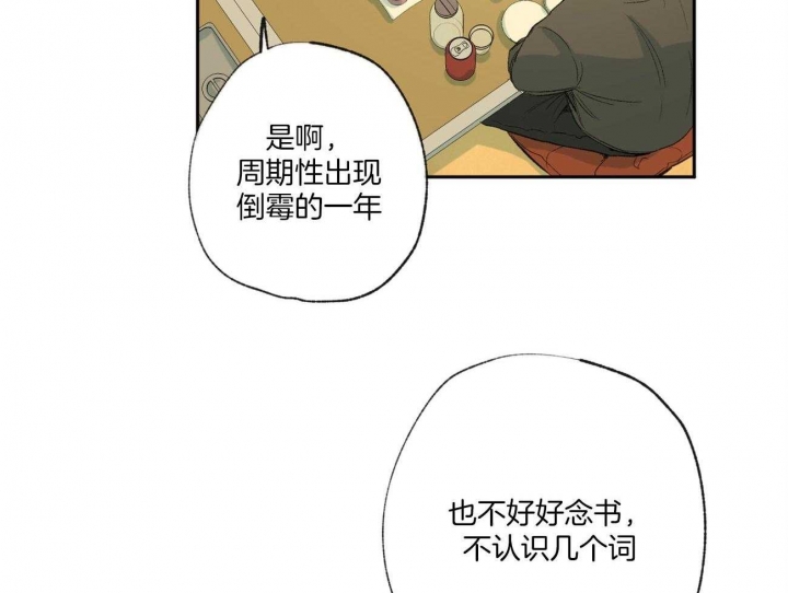 《走失的夜(第I+II季)》漫画最新章节第99话免费下拉式在线观看章节第【33】张图片