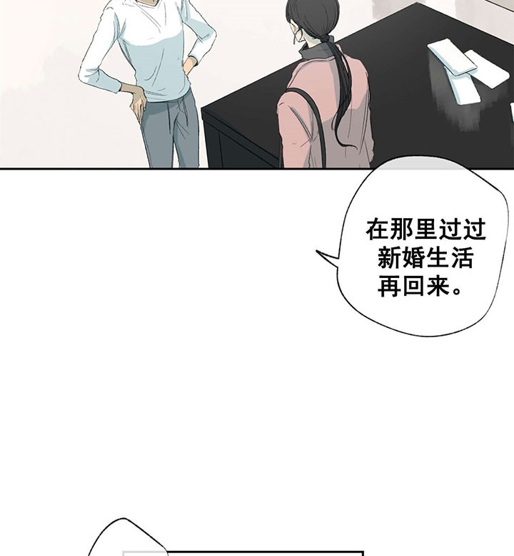 《走失的夜(第I+II季)》漫画最新章节第59话免费下拉式在线观看章节第【3】张图片