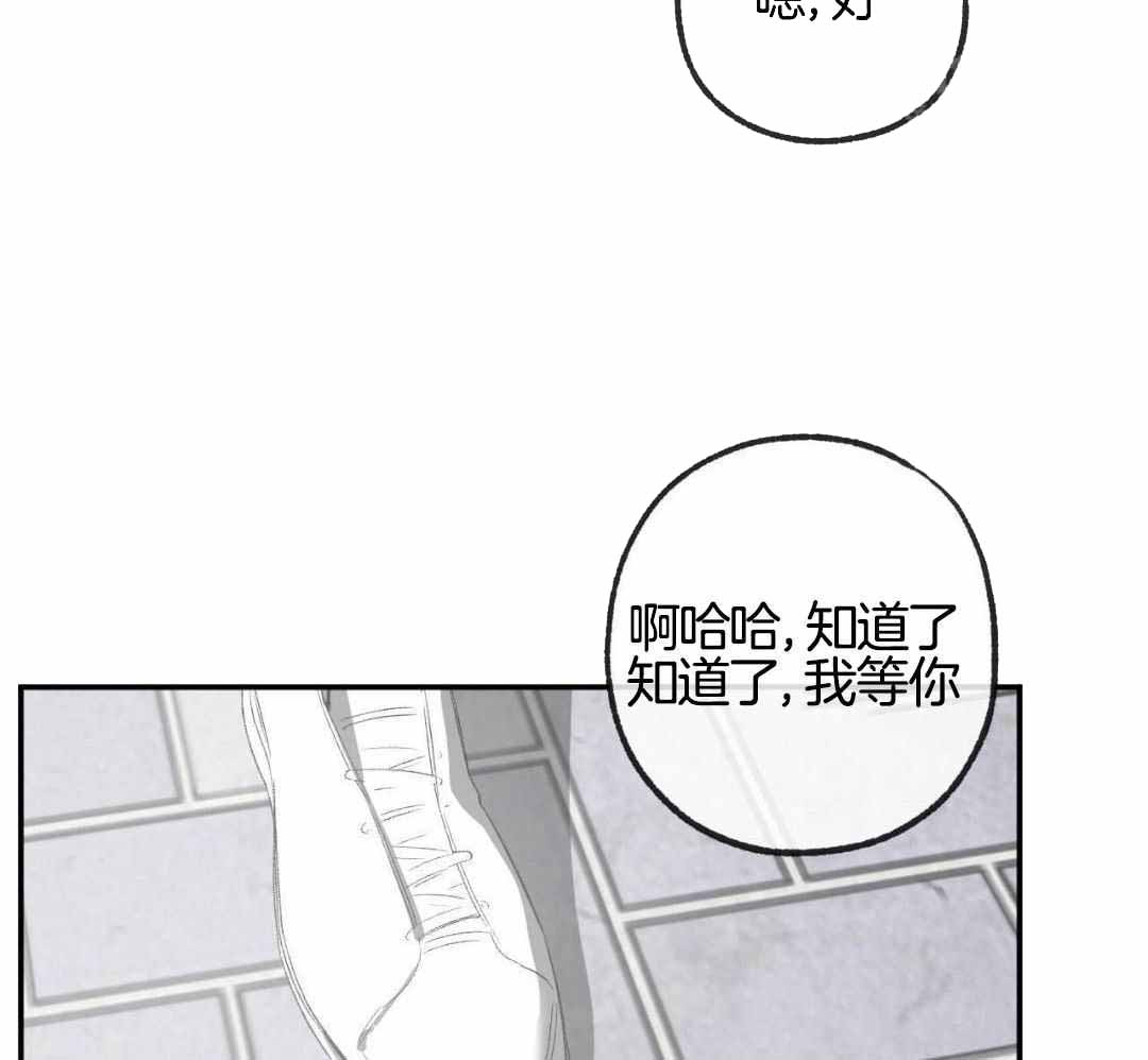 《走失的夜(第I+II季)》漫画最新章节第235话免费下拉式在线观看章节第【14】张图片