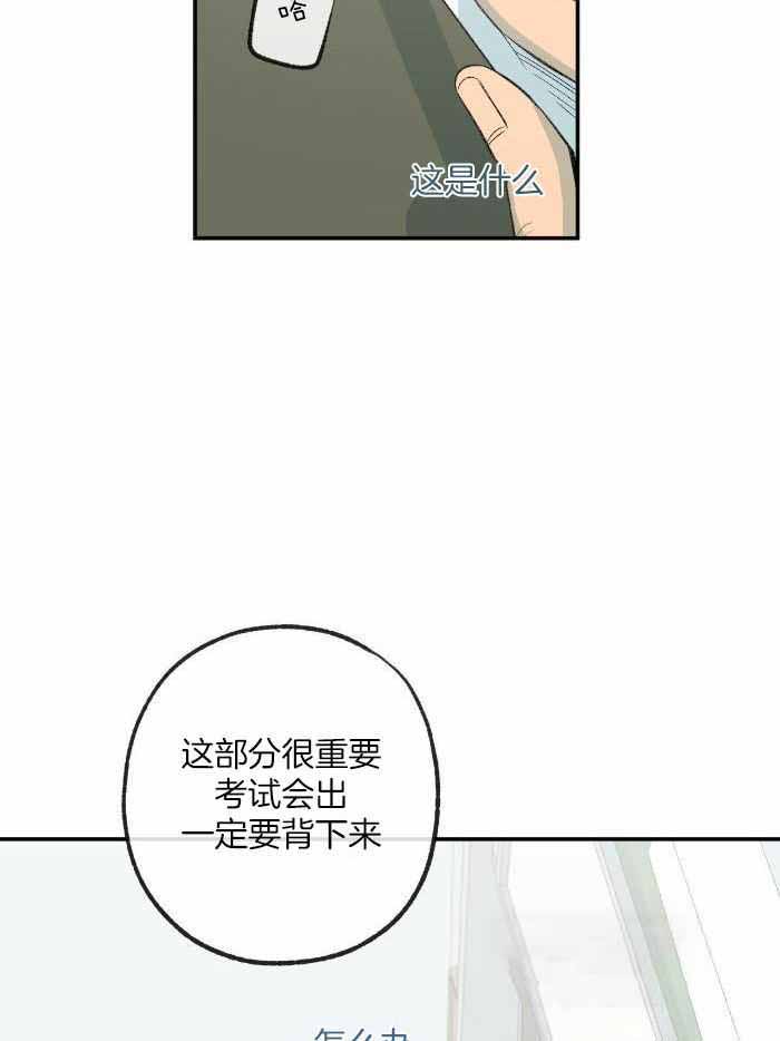 《走失的夜(第I+II季)》漫画最新章节第213话免费下拉式在线观看章节第【30】张图片