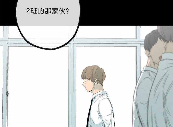 《走失的夜(第I+II季)》漫画最新章节第166话免费下拉式在线观看章节第【8】张图片