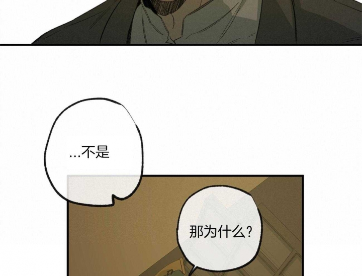 《走失的夜(第I+II季)》漫画最新章节第162话免费下拉式在线观看章节第【16】张图片