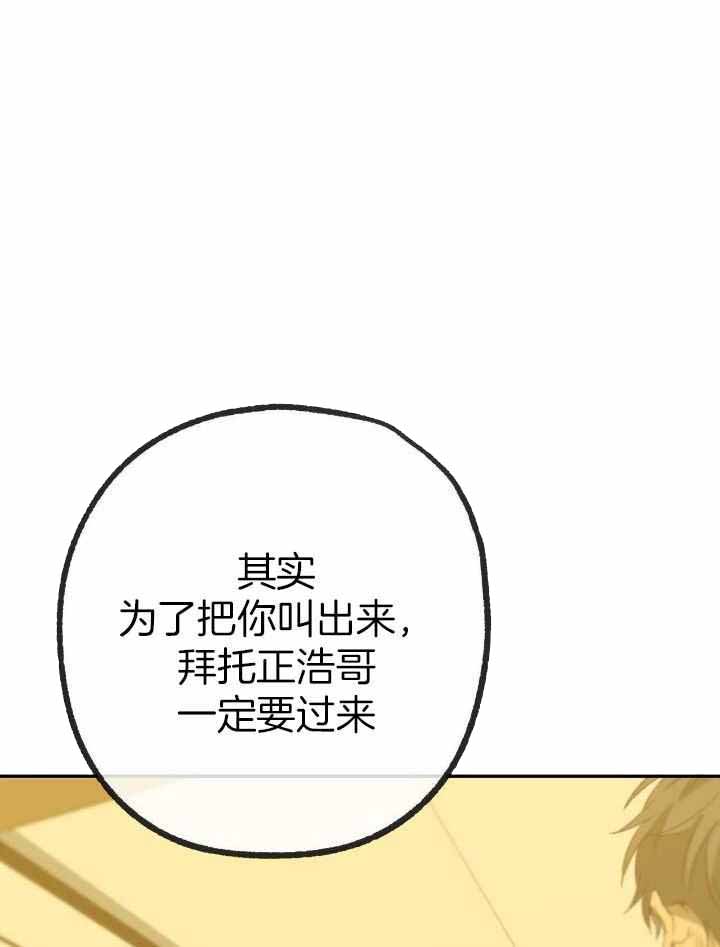 《走失的夜(第I+II季)》漫画最新章节第205话免费下拉式在线观看章节第【12】张图片