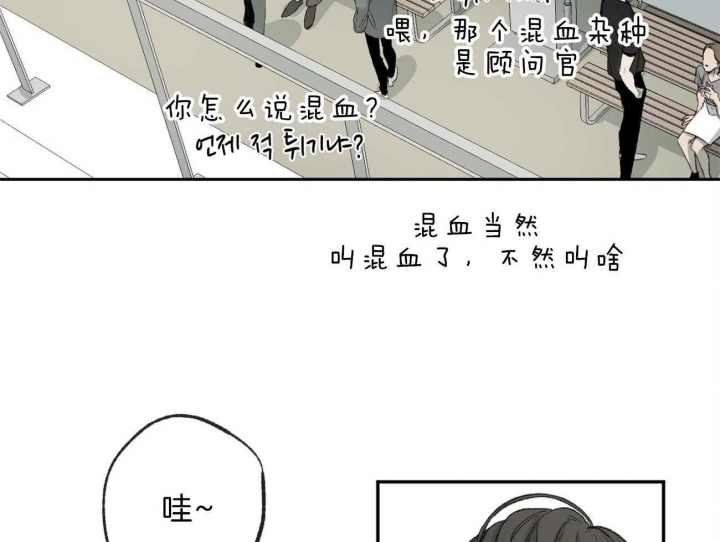 《走失的夜(第I+II季)》漫画最新章节第144话免费下拉式在线观看章节第【17】张图片