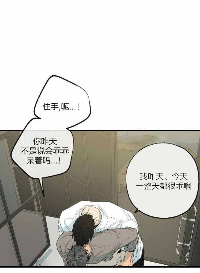 《走失的夜(第I+II季)》漫画最新章节第219话免费下拉式在线观看章节第【1】张图片