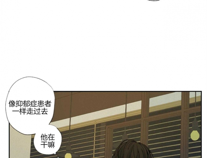 《走失的夜(第I+II季)》漫画最新章节第96话免费下拉式在线观看章节第【44】张图片