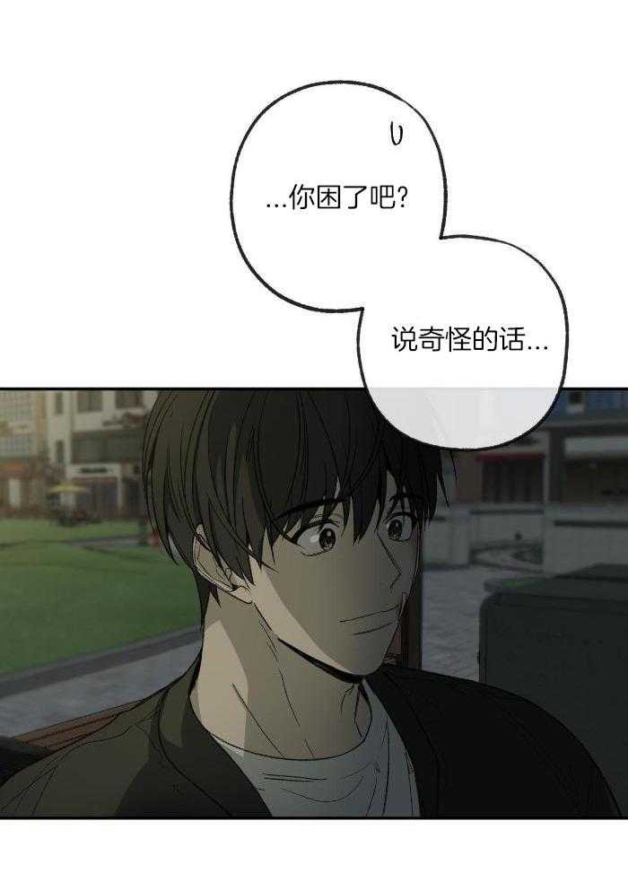 《走失的夜(第I+II季)》漫画最新章节第216话免费下拉式在线观看章节第【2】张图片