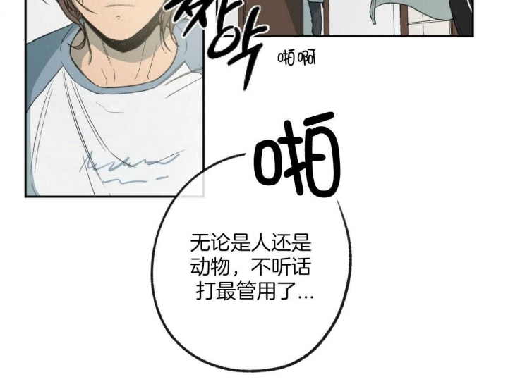 《走失的夜(第I+II季)》漫画最新章节第183话免费下拉式在线观看章节第【12】张图片