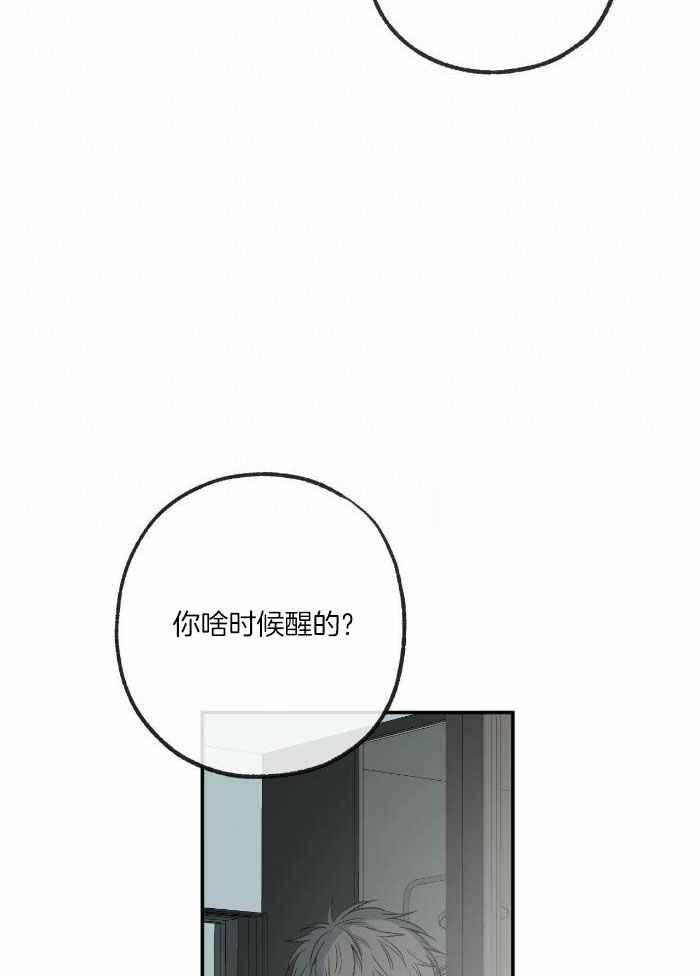 《走失的夜(第I+II季)》漫画最新章节第220话免费下拉式在线观看章节第【5】张图片