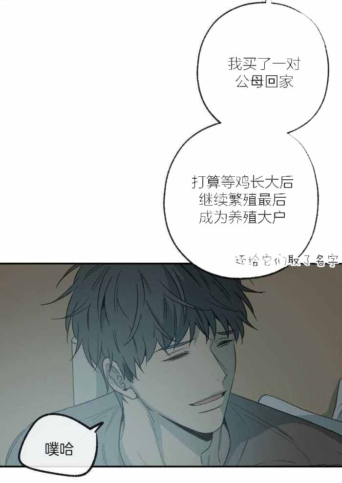 《走失的夜(第I+II季)》漫画最新章节第221话免费下拉式在线观看章节第【20】张图片