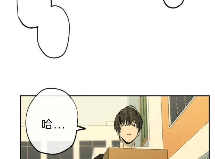 《走失的夜(第I+II季)》漫画最新章节第143话免费下拉式在线观看章节第【24】张图片