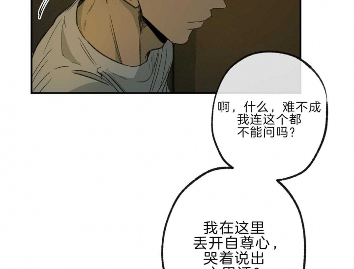 《走失的夜(第I+II季)》漫画最新章节第137话免费下拉式在线观看章节第【5】张图片