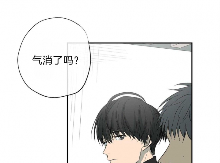 《走失的夜(第I+II季)》漫画最新章节第116话免费下拉式在线观看章节第【14】张图片