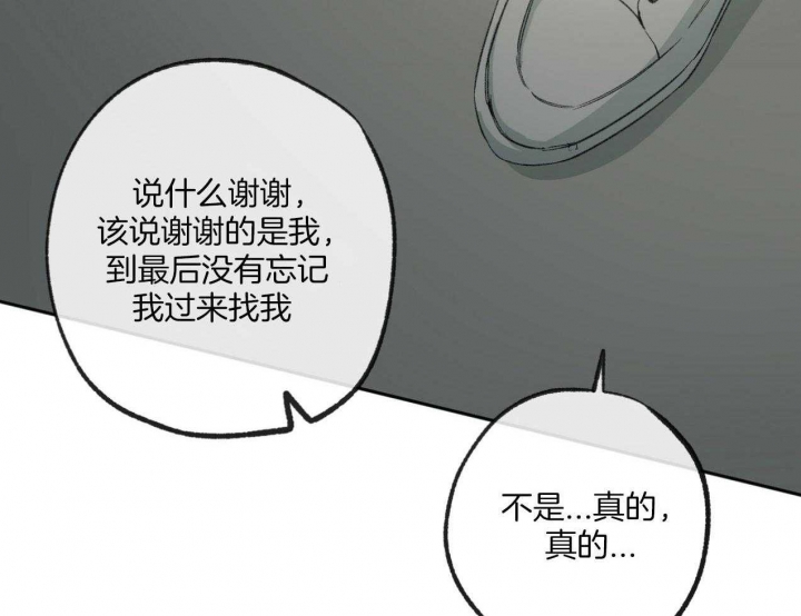 《走失的夜(第I+II季)》漫画最新章节第184话免费下拉式在线观看章节第【35】张图片