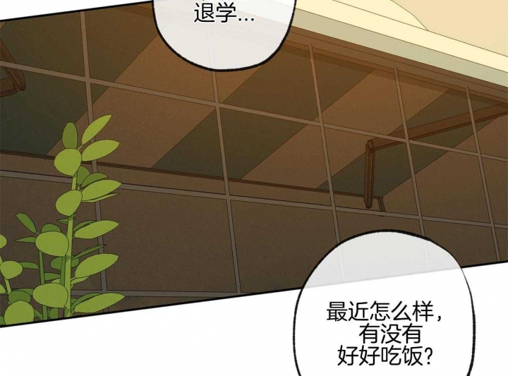 《走失的夜(第I+II季)》漫画最新章节第160话免费下拉式在线观看章节第【10】张图片