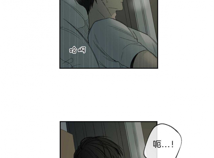 《走失的夜(第I+II季)》漫画最新章节第146话免费下拉式在线观看章节第【40】张图片