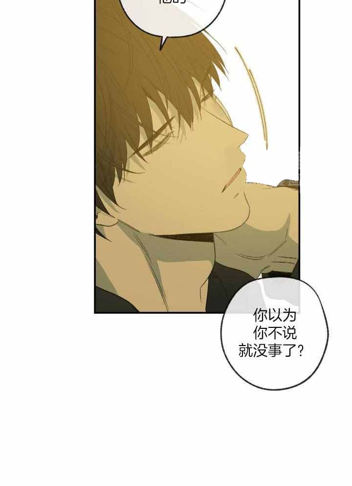 《走失的夜(第I+II季)》漫画最新章节第206话免费下拉式在线观看章节第【36】张图片