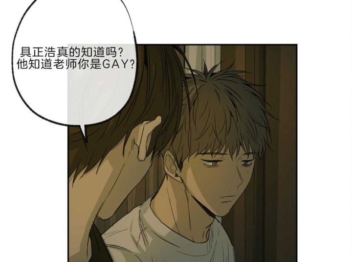 《走失的夜(第I+II季)》漫画最新章节第136话免费下拉式在线观看章节第【43】张图片