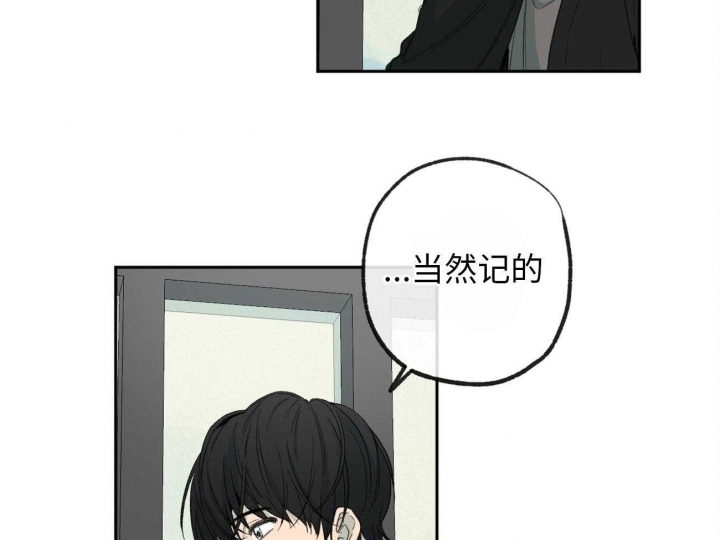 《走失的夜(第I+II季)》漫画最新章节第173话免费下拉式在线观看章节第【20】张图片