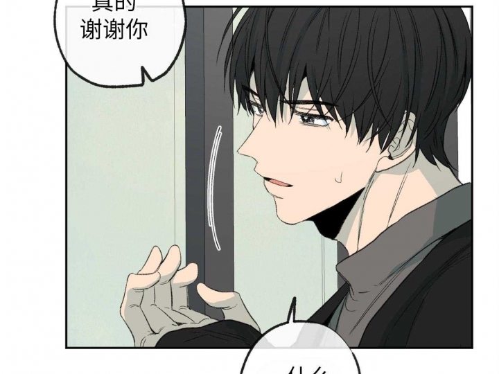 《走失的夜(第I+II季)》漫画最新章节第173话免费下拉式在线观看章节第【34】张图片