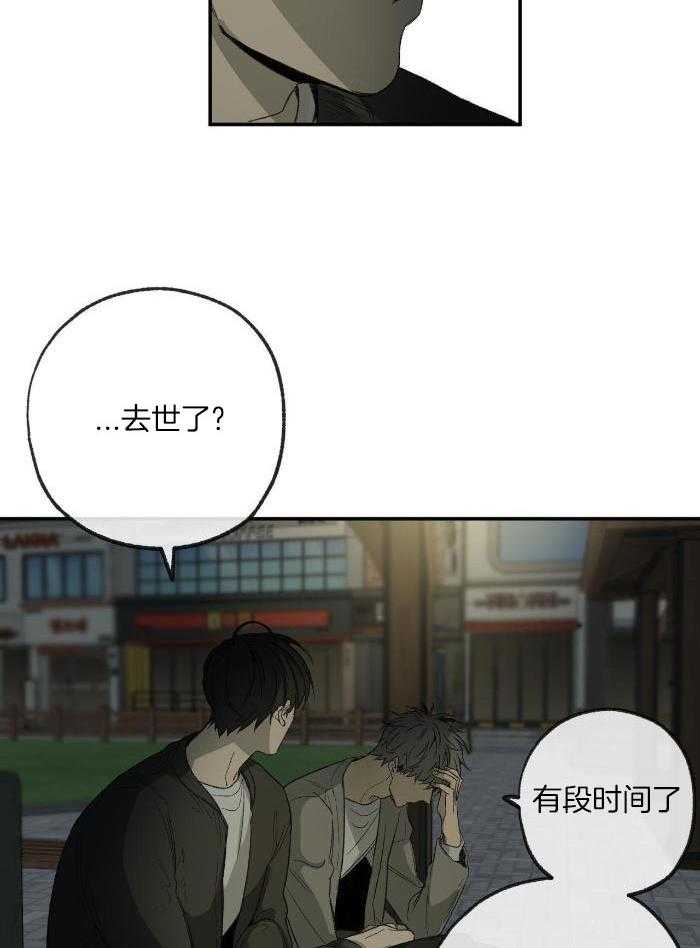 《走失的夜(第I+II季)》漫画最新章节第215话免费下拉式在线观看章节第【12】张图片