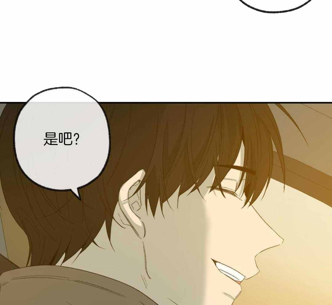 《走失的夜(第I+II季)》漫画最新章节第232话免费下拉式在线观看章节第【8】张图片