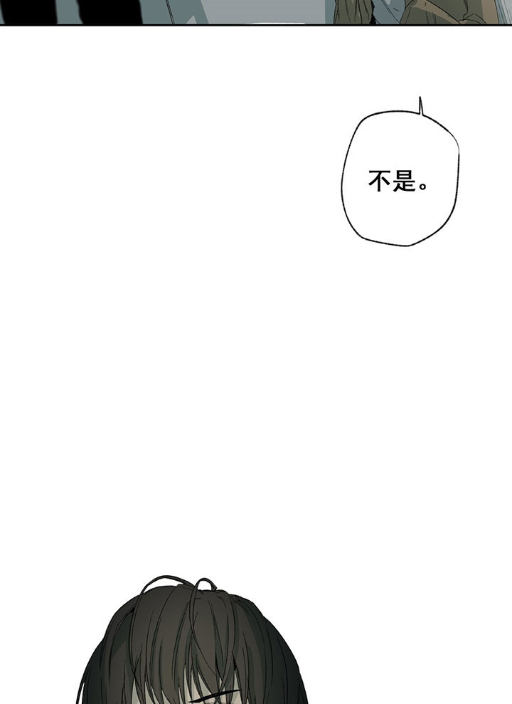 《走失的夜(第I+II季)》漫画最新章节第38话免费下拉式在线观看章节第【11】张图片