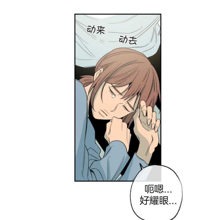 《走失的夜(第I+II季)》漫画最新章节第186话免费下拉式在线观看章节第【14】张图片