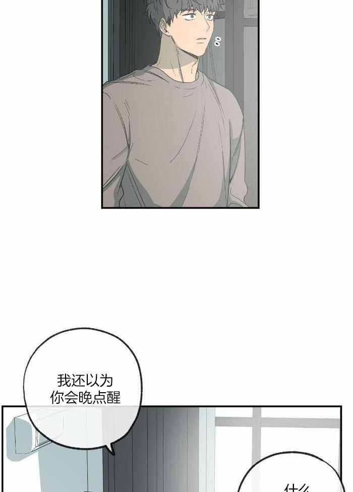 《走失的夜(第I+II季)》漫画最新章节第220话免费下拉式在线观看章节第【6】张图片