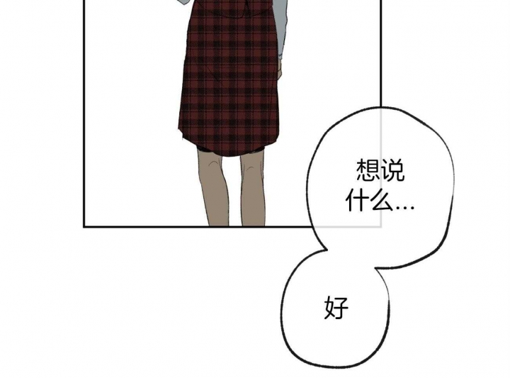 《走失的夜(第I+II季)》漫画最新章节第162话免费下拉式在线观看章节第【42】张图片