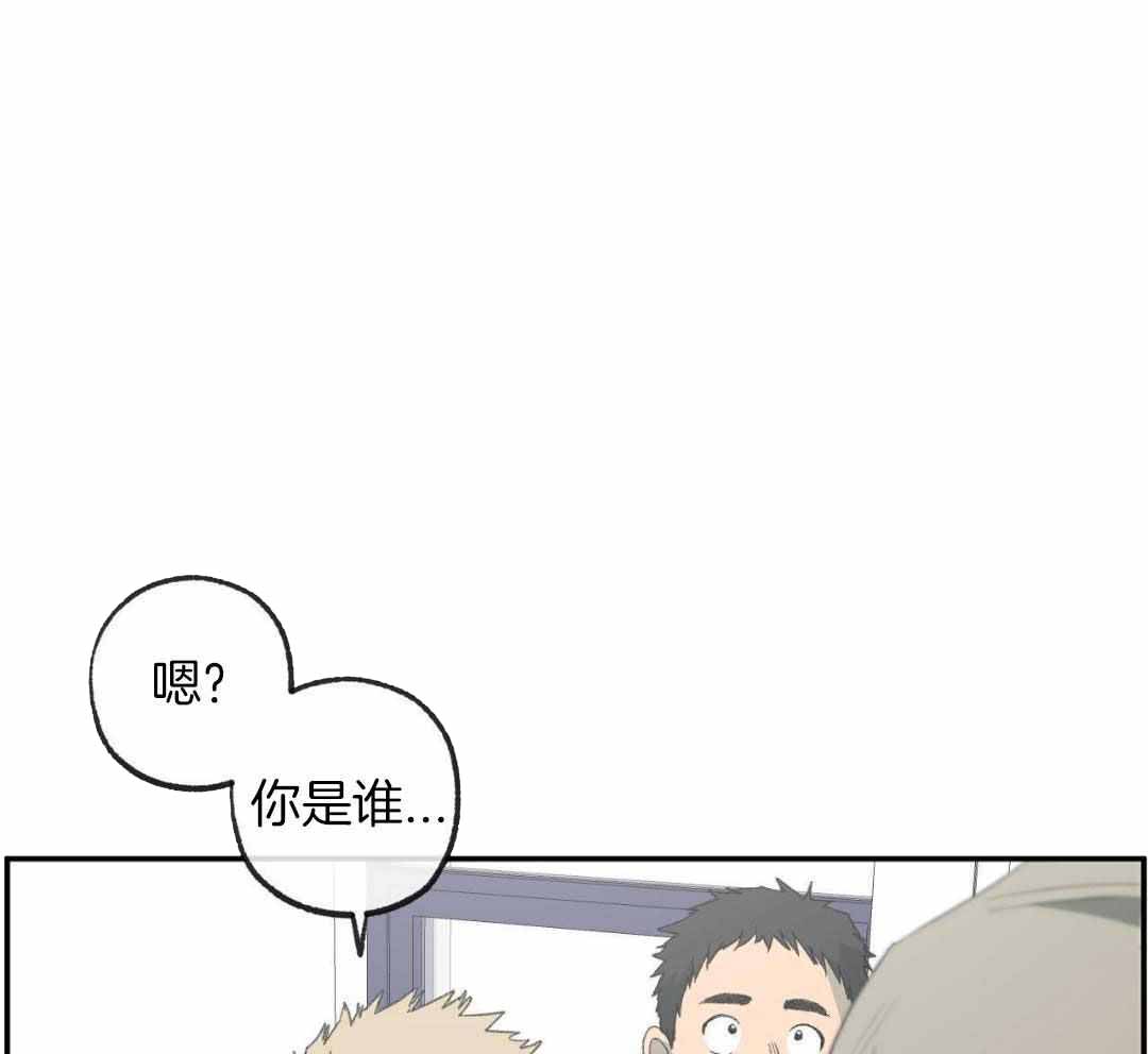 《走失的夜(第I+II季)》漫画最新章节第230话免费下拉式在线观看章节第【24】张图片