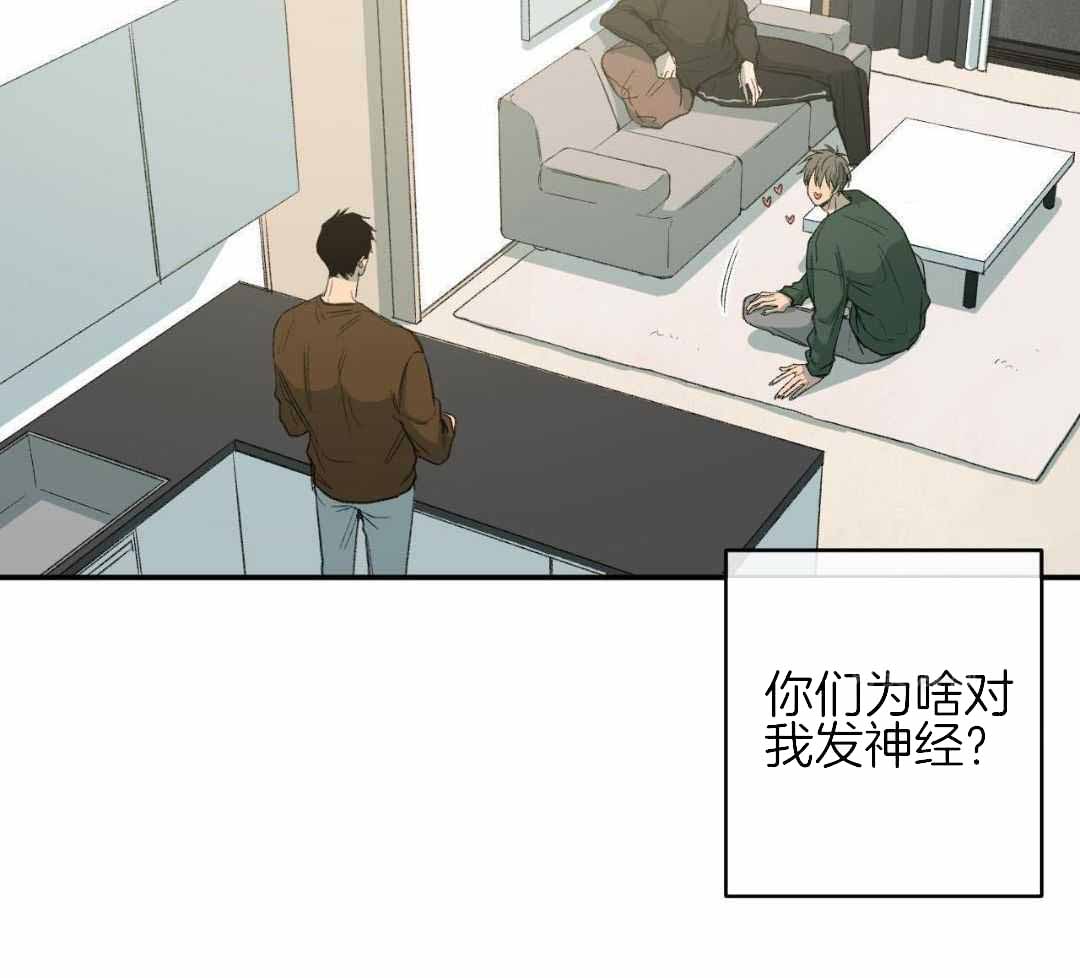 《走失的夜(第I+II季)》漫画最新章节第235话免费下拉式在线观看章节第【36】张图片